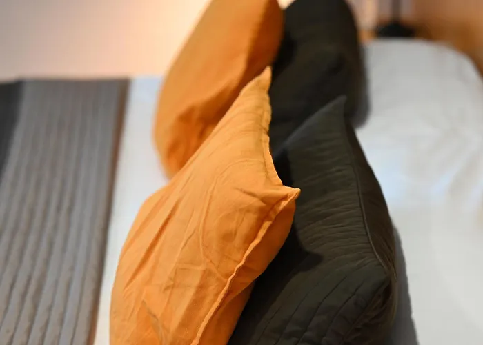 酒店 帕克斯酒店 3*